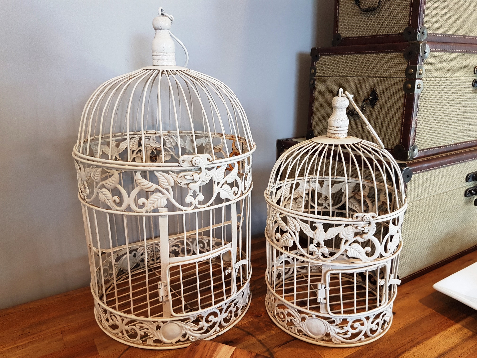 Vintage Bird Cage Large Bathurst Event Wedding Party 