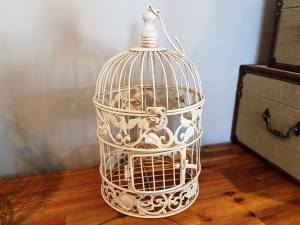 bird_cage_small