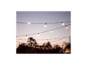 festoon_lights_2075328933