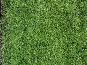 turf_1109175686