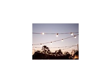 festoon_lights_2075328933